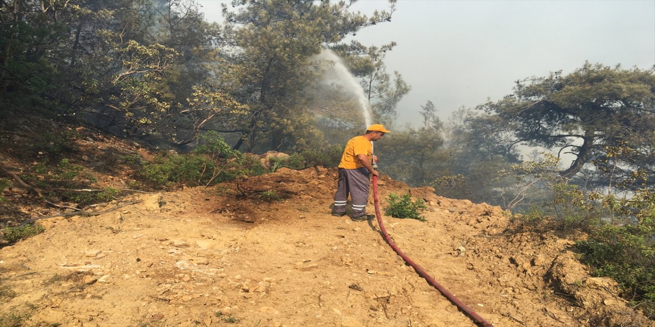 Bilecik'te çıkan orman yangını kontrol altına alındı