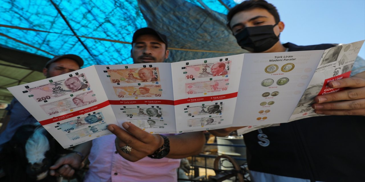 İzmir'deki kurbanlık pazarlarında hareketlilik sürüyor