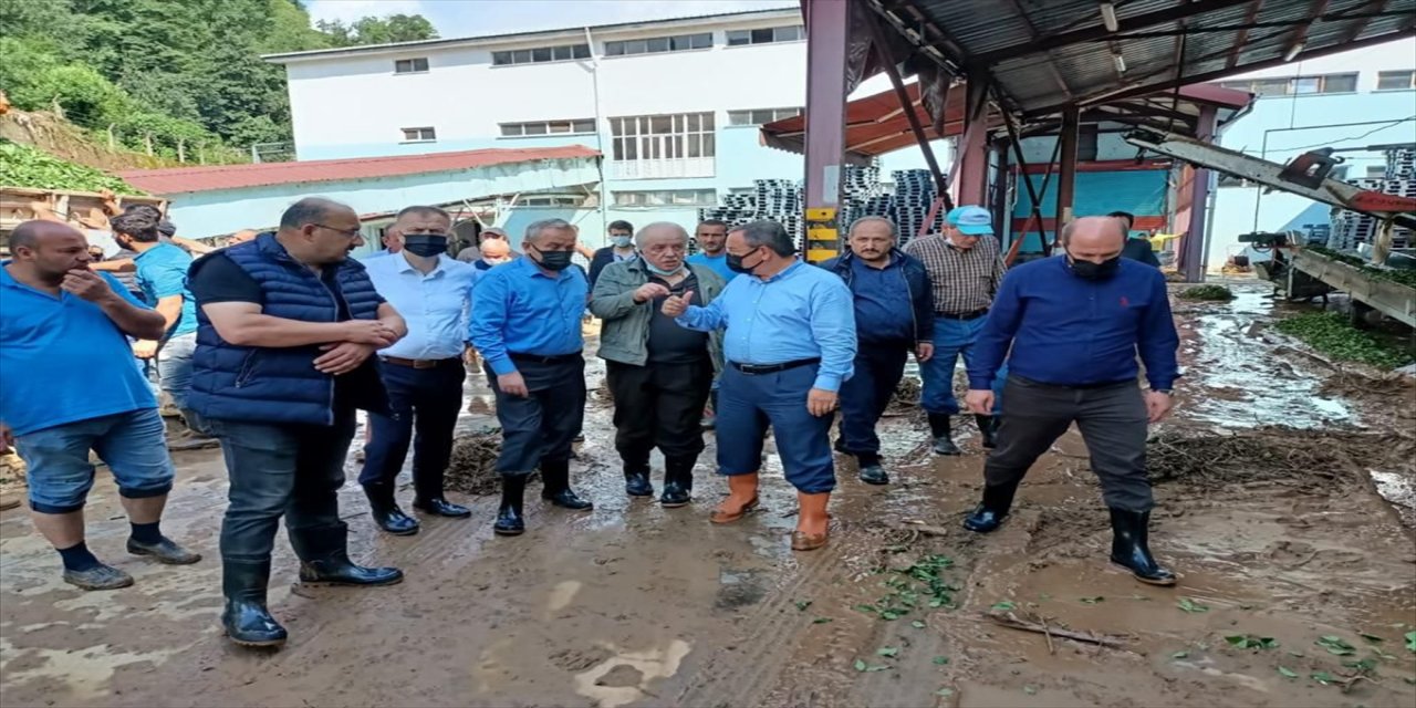 ÇAYKUR'un selden etkilenen üç fabrikası yeniden devreye girdi