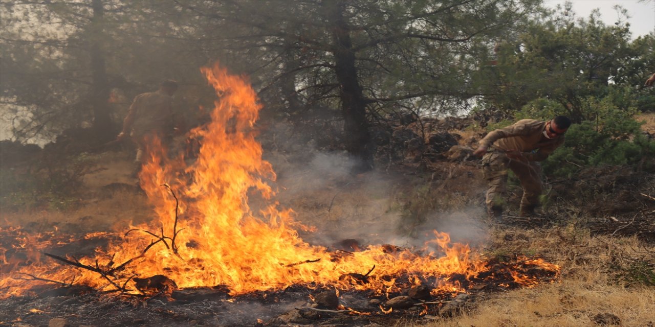 Kilis'te orman yangınına müdahale ediliyor