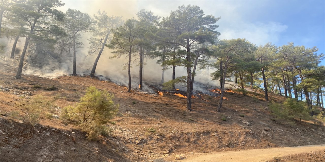 Antalya'nın Gazipaşa ilçesindeki orman yangınına müdahale ediliyor