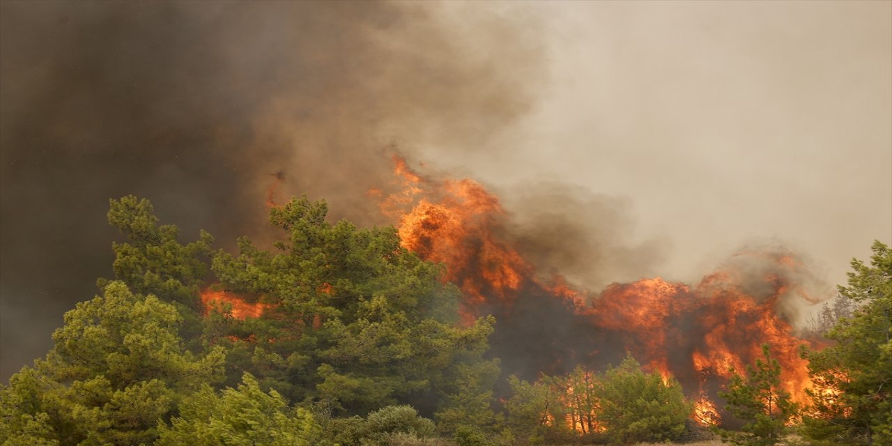 Manavgat'ta bir mahalledeki ormanlık alanda yangın çıktı