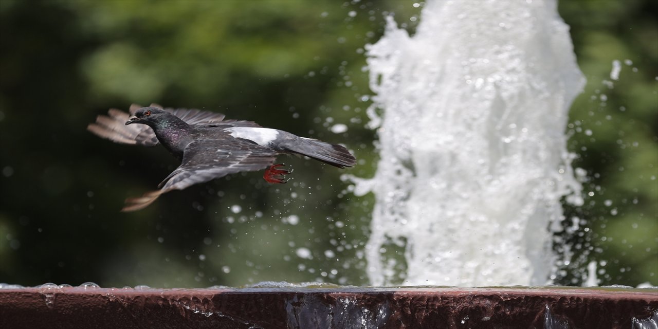 Edirne'de mevsim normallerinin üzerinde seyreden sıcaklıklar hayatı olumsuz etkiliyor