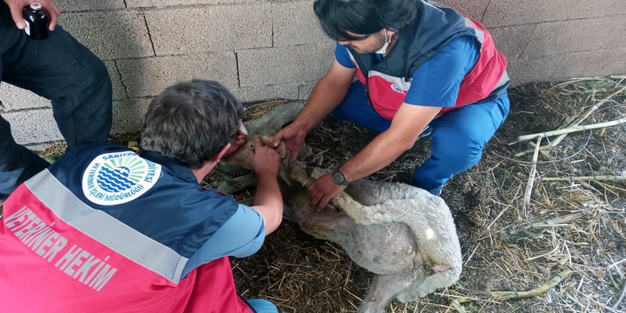 İstanbul'daki belediyelerden yangın bölgesine destek