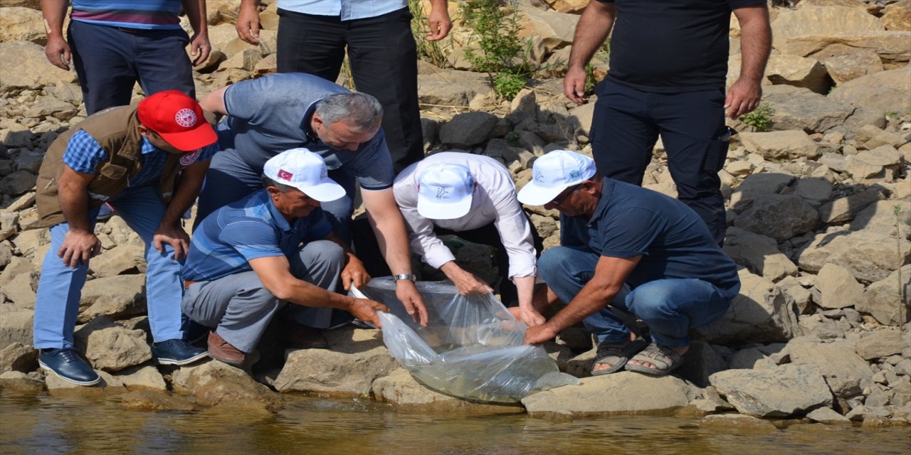 Manisa'daki iki baraja 25 bin pullu sazan balığı yavrusu bırakıldı