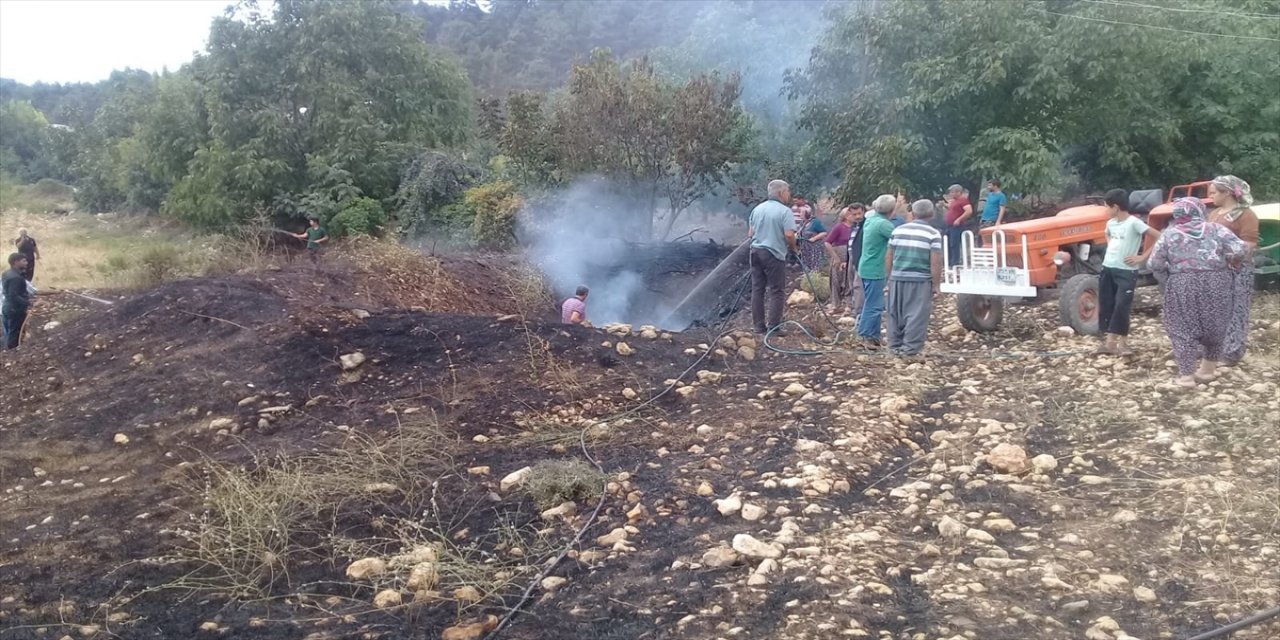 Mersin'de ağaçlık alanda çıkan yangınlar vatandaşlarca söndürüldü