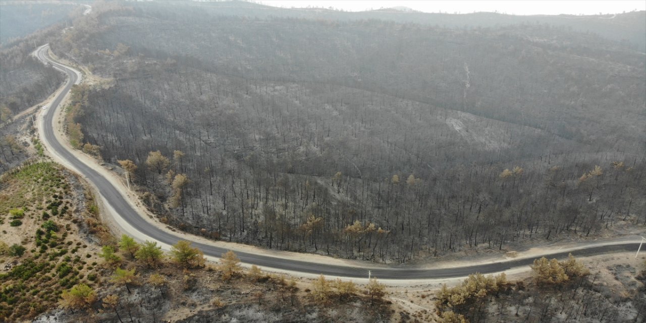 Manavgat'taki yangında zarar gören alanlar havadan görüntülendi