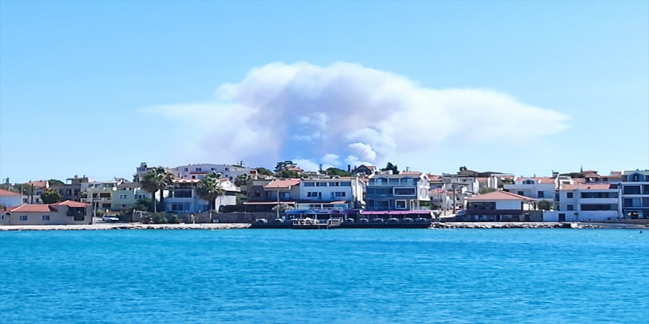 İzmir'de makilik alanda çıkan yangına müdahale ediliyor