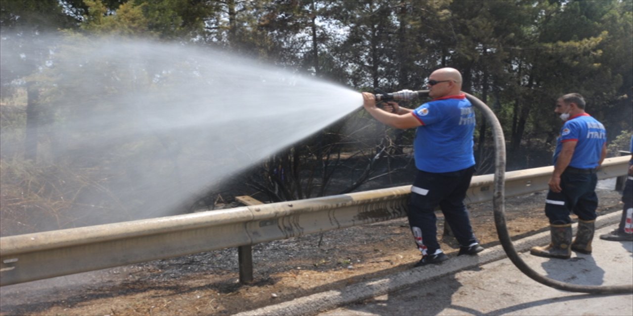 Adana'da otoyol kenarındaki ağaçlık alanda çıkan yangın söndürüldü