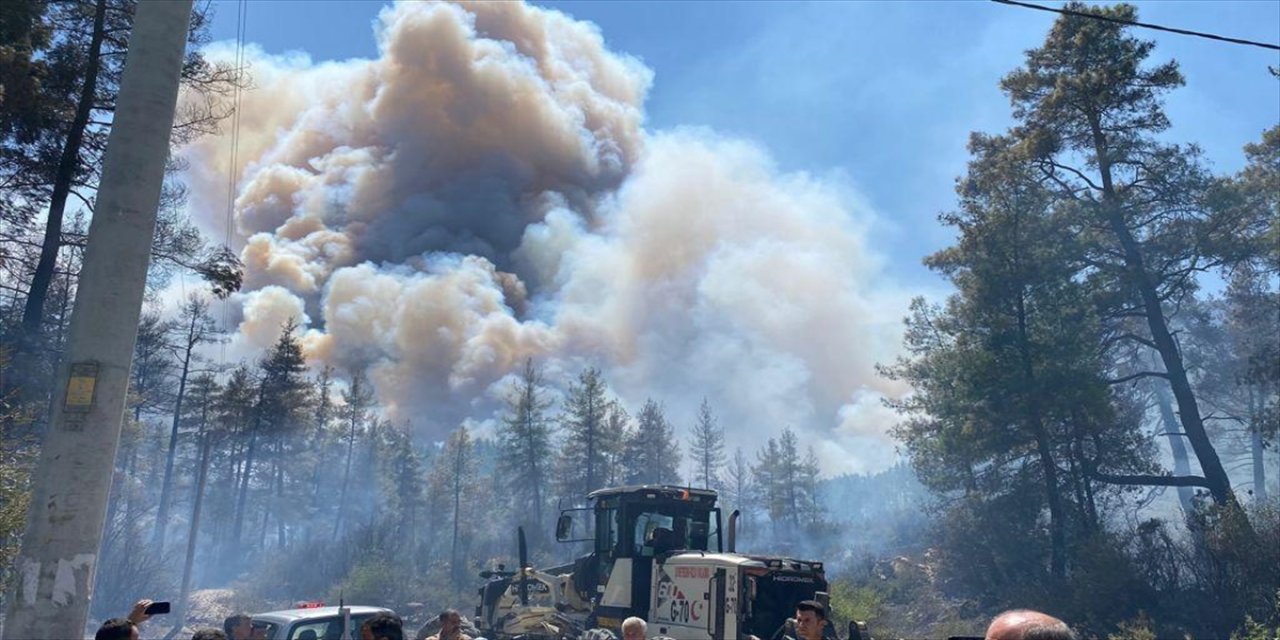 Burdur'un Bucak ilçesinde orman yangını çıktı