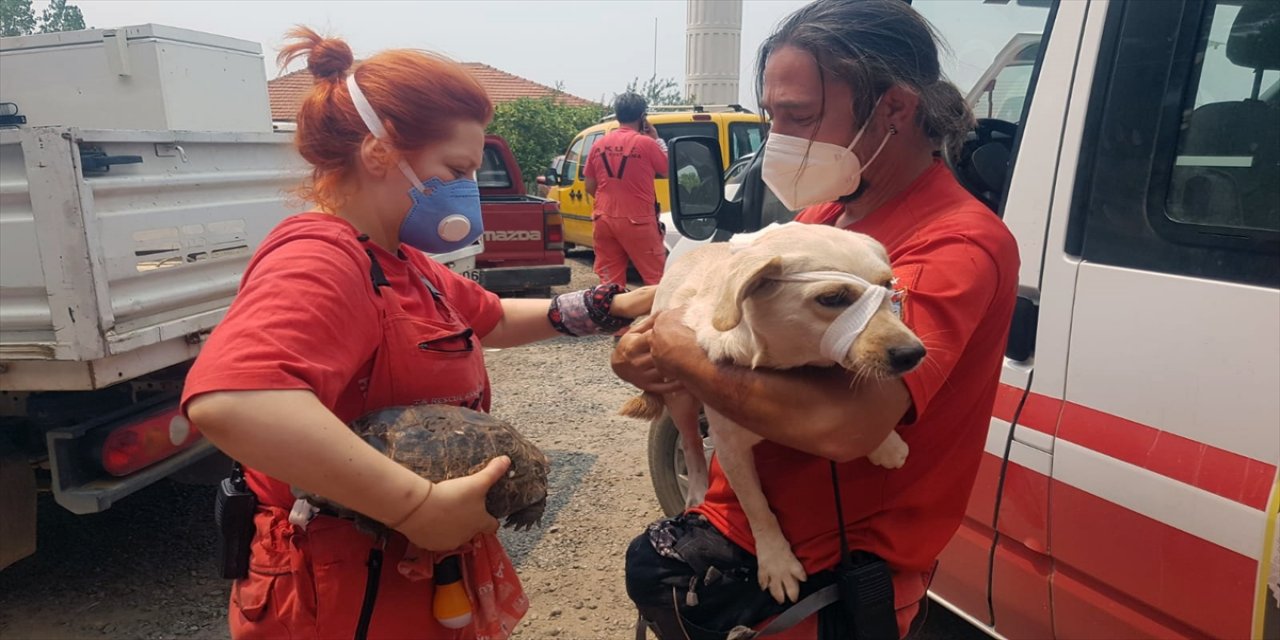 AKUT, orman yangınlarının etkili olduğu bölgelerde çalışmalarını sürdürüyor