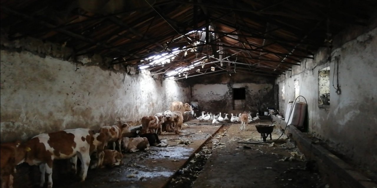 Kars'taki hortumda zarar gören yapılarda hasar tespiti yapıldı