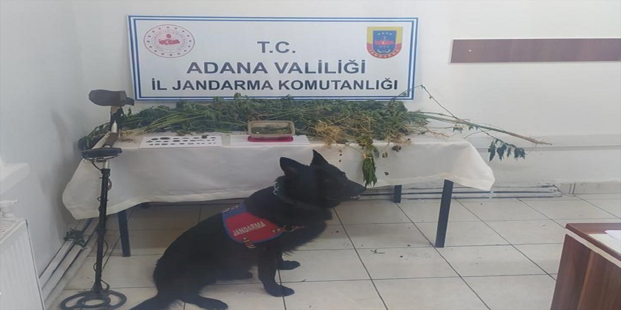 Adana'da uyuşturucu operasyonunda 3 şüpheli yakalandı