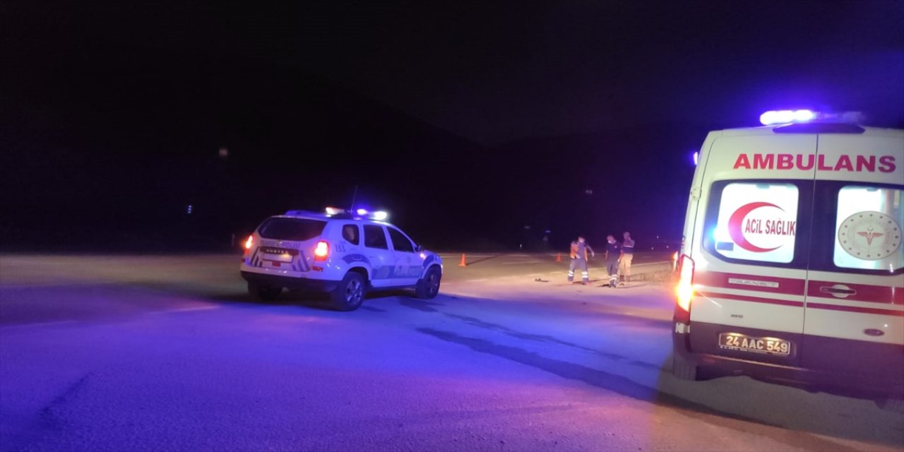 Erzincan'da otomobilin çarptığı orman muhafaza memuru hayatını kaybetti