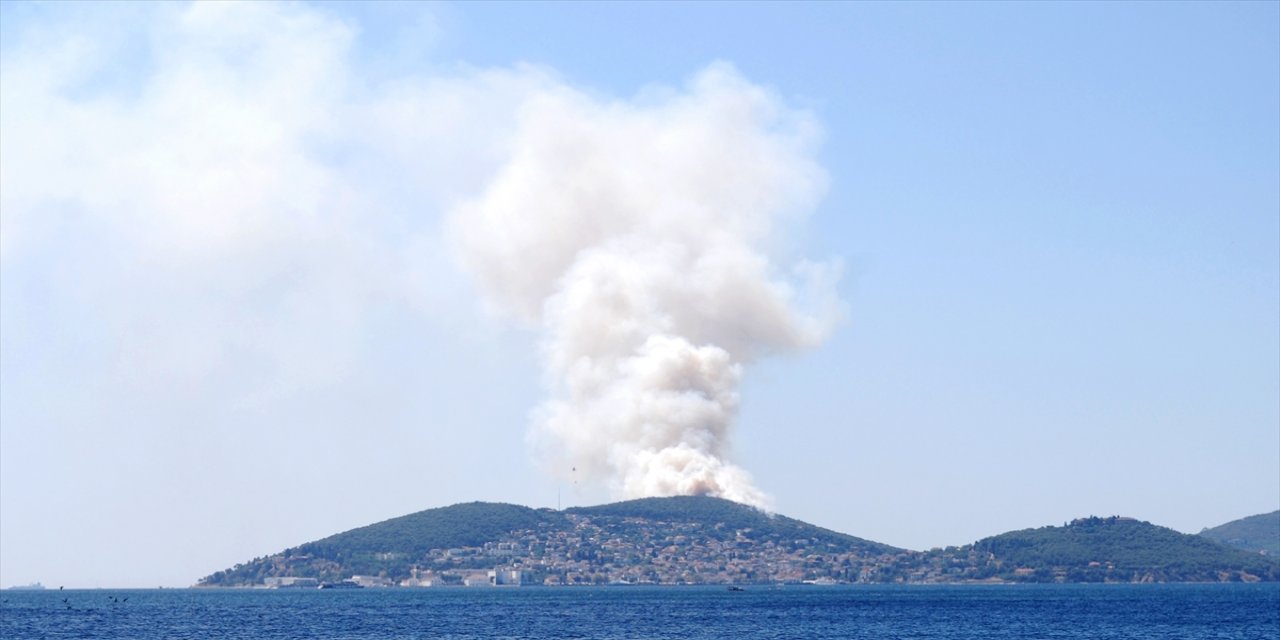 Heybeliada'da ormanlık alanda yangın çıktı