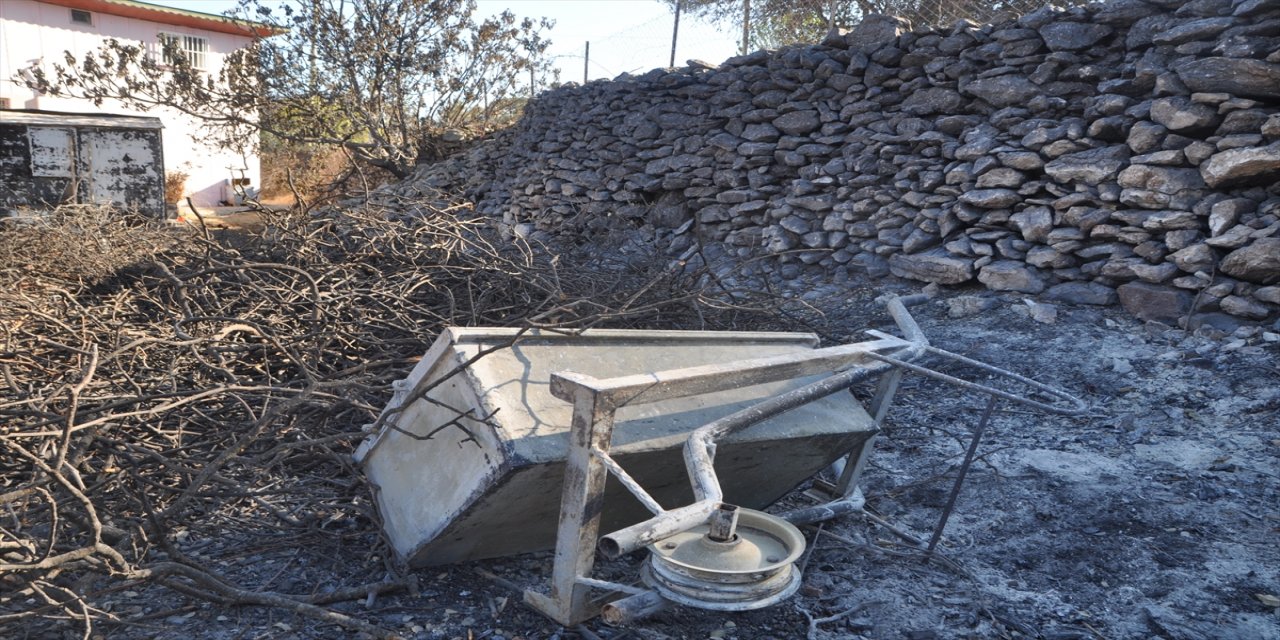 Muğla'da yangının arıcılık sektörü ve bal üretimine etkilerine ilişkin çalışma yapılıyor