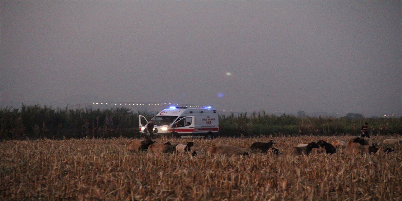 Hatay'da çobanlar arasında silahlı kavga: 1 ölü, 1 yaralı