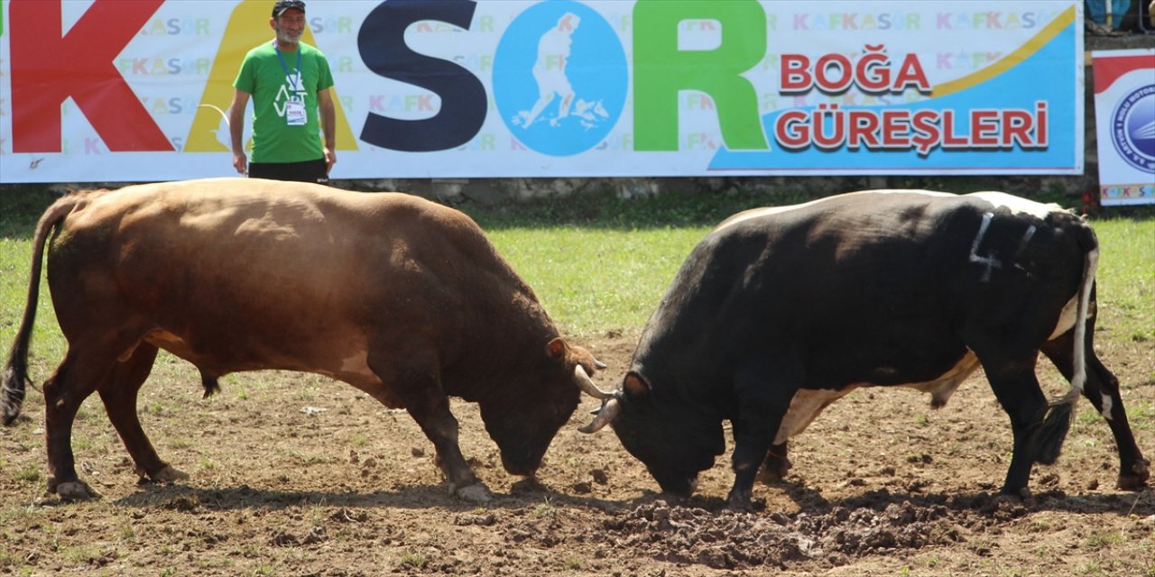 Artvin'de 40. Kafkasör Kültür, Turizm ve Sanat Festivali sona erdi