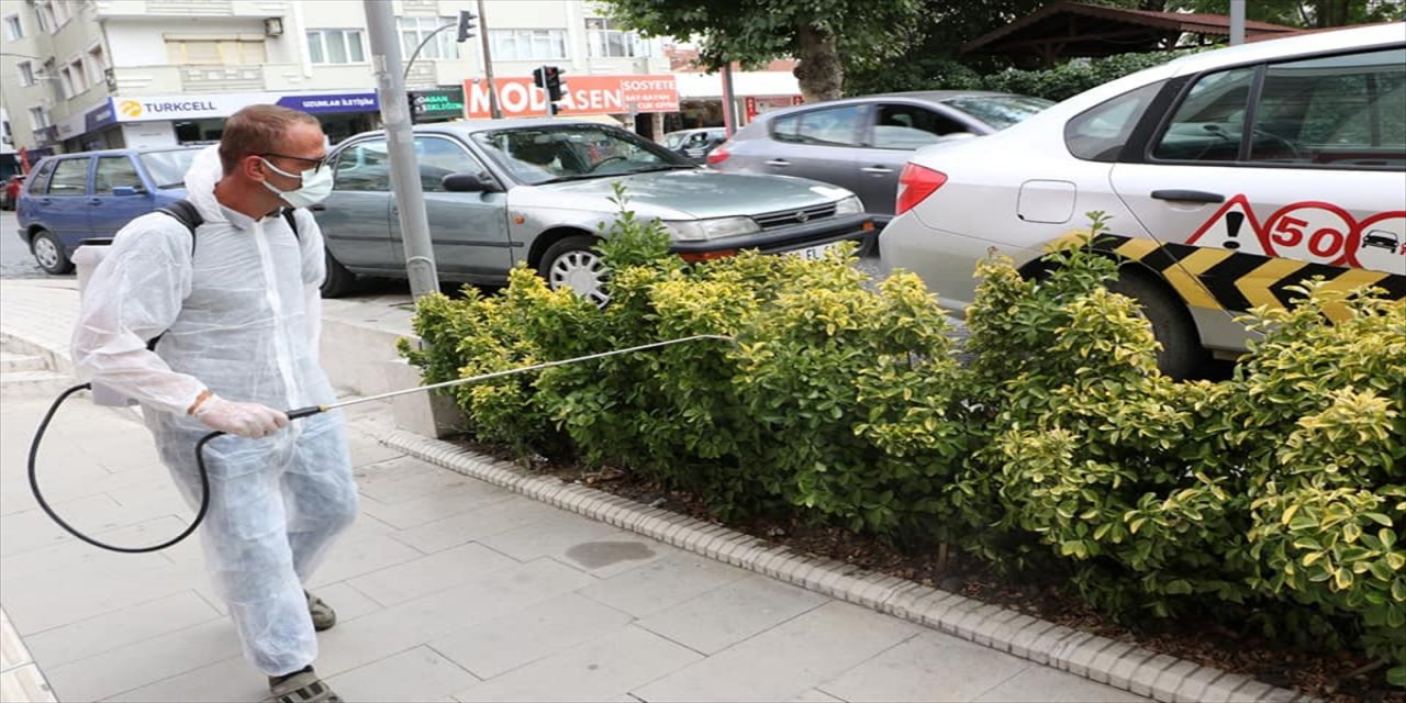 Trakya'da yoğun görülen dantel böceği popülasyonu kimyasal mücadele sonrası azaldı