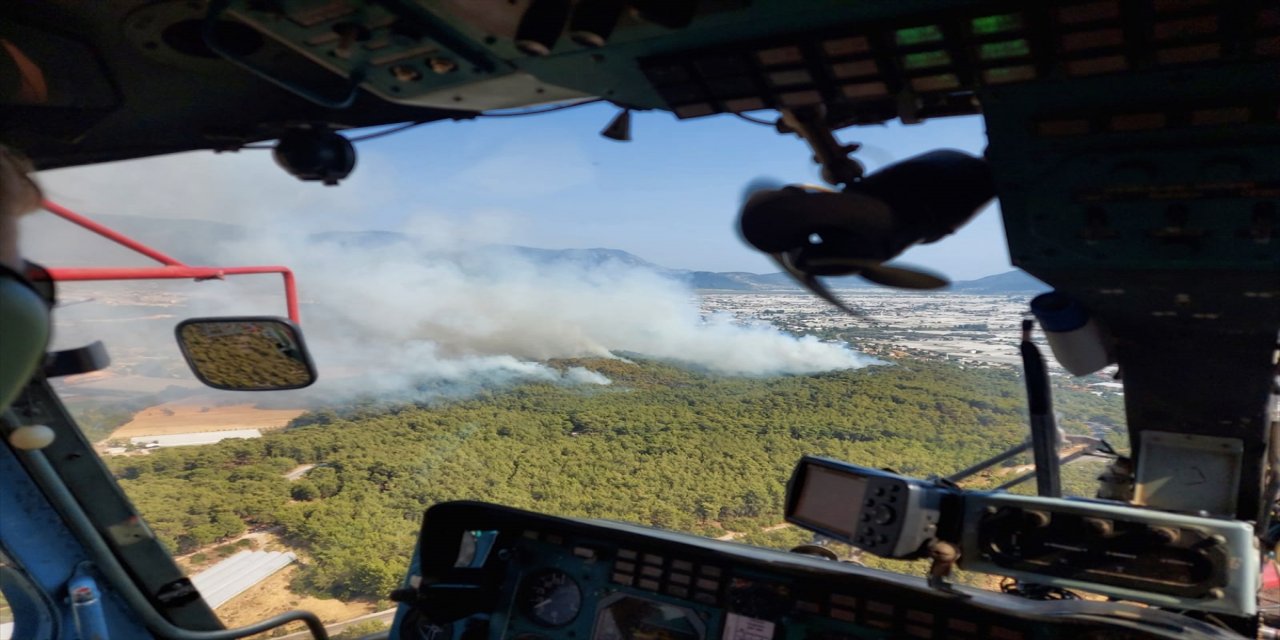 Muğla'nın Seydikemer ilçesinde ormanlık alanda çıkan yangına müdahale ediliyor