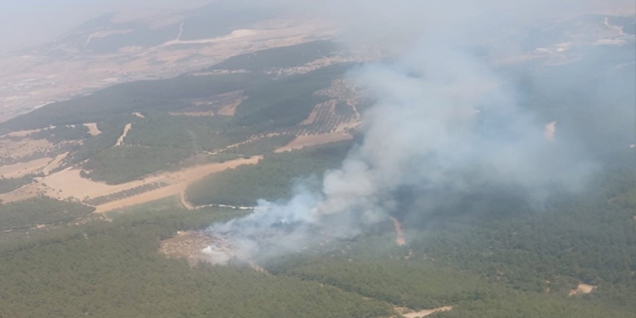 CHP, orman yangını nedeniyle Tunceli'ye heyet gönderdi