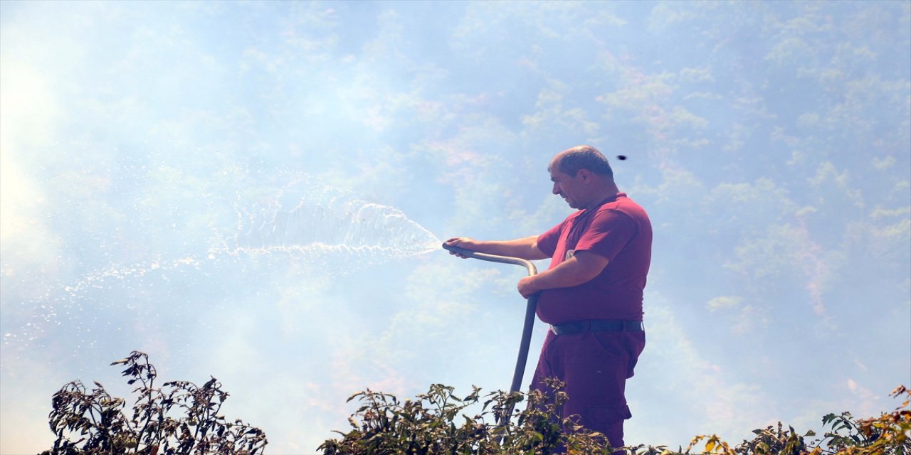 Bitlis'te ormanlık alanda çıkan örtü yangınının söndürülmesi için çalışmalar sürüyor