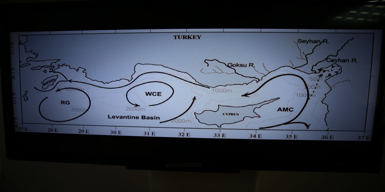 Prof. Dr. Cemal Turan'dan Suriye kaynaklı petrol sızıntısına ilişkin açıklama