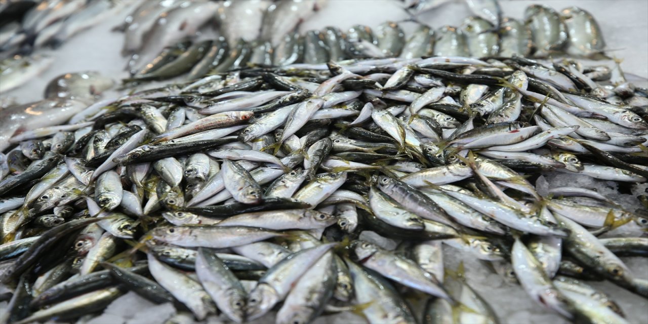 Ordu'da av yasağının sona ermesiyle balık tezgahları doldu