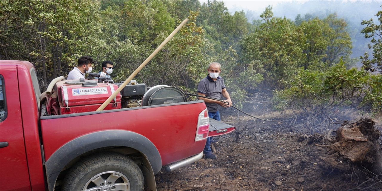 Şemdinli'de çıkan orman yangını kontrol altına alındı