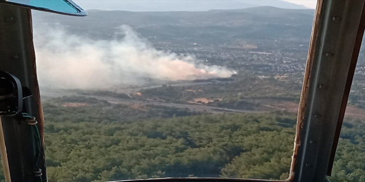 İzmir'de ağaçlık alanda yangın çıktı