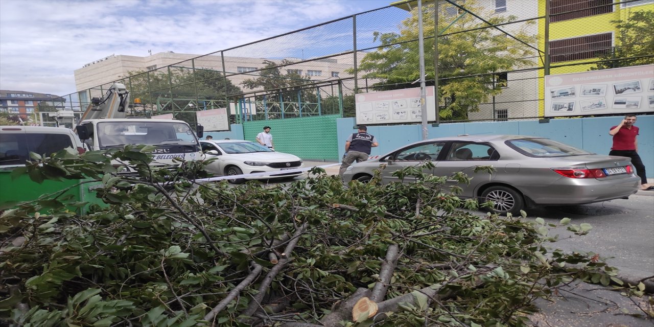 Bakırköy'de devrilen ağaç nedeniyle 1 kişi yaralandı