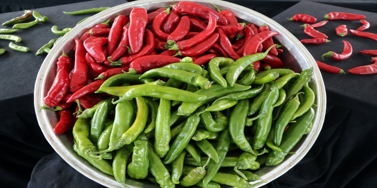 Samandağ biberi coğrafi işaret tescil belgesi aldı