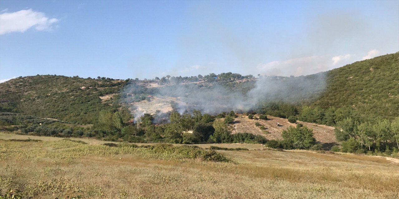 Osmaniye'de çıkan orman yangını söndürüldü