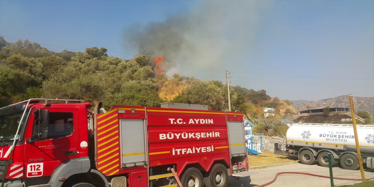 Aydın'da makilik alanda çıkan yangına müdahale ediliyor