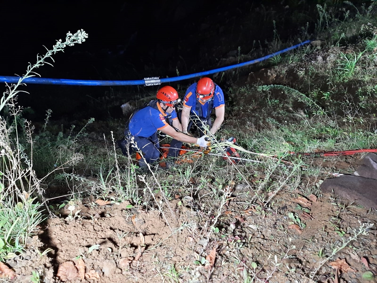 Rize'de uçuruma yuvarlanan kamyonetin sürücüsü öldü