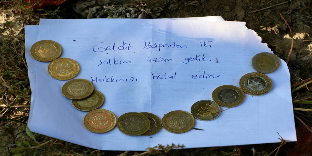 Bağından izinsiz yenen üzüm için bırakılan not çiftçiyi duygulandırdı