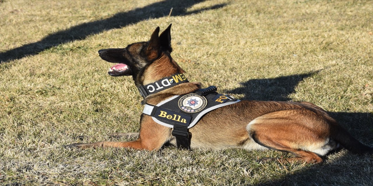 Afyonkarahisar'da narkotiğin hassas burnu "Zela" emekli oldu