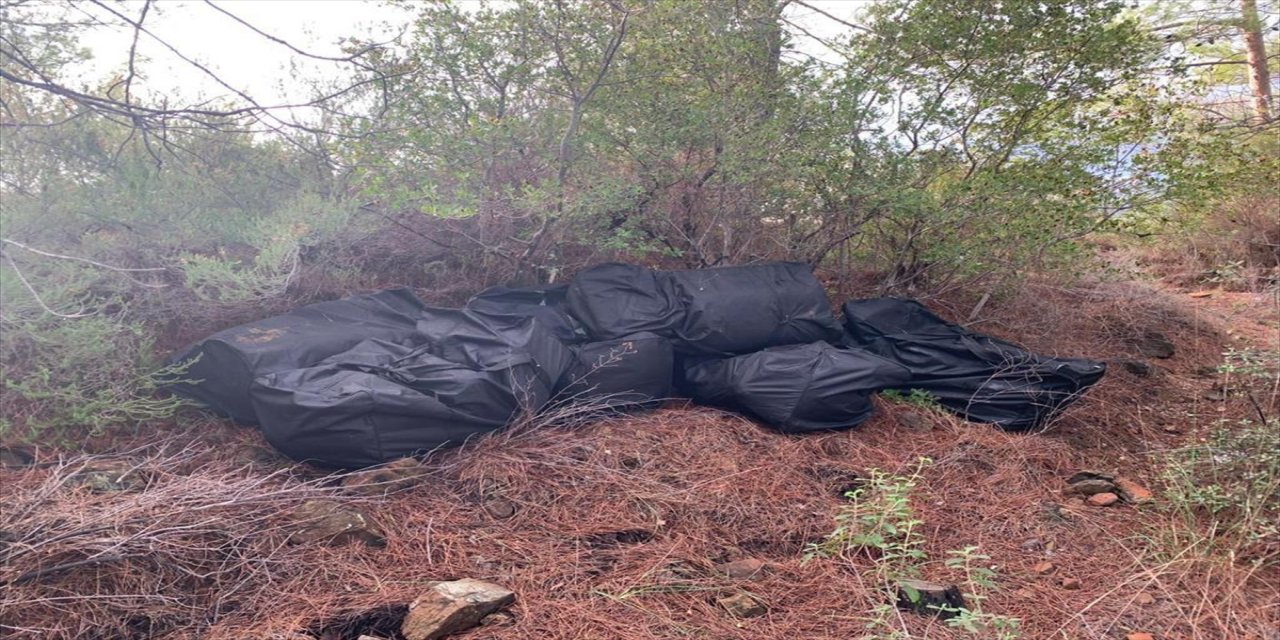 Muğla'da uyuşturucu operasyonunda 1,5 ton skunk ele geçirildi