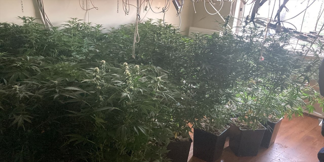 İzmir'de bir evde uyuşturucu yetiştirdiği iddia edilen 4 şüpheli yakalandı