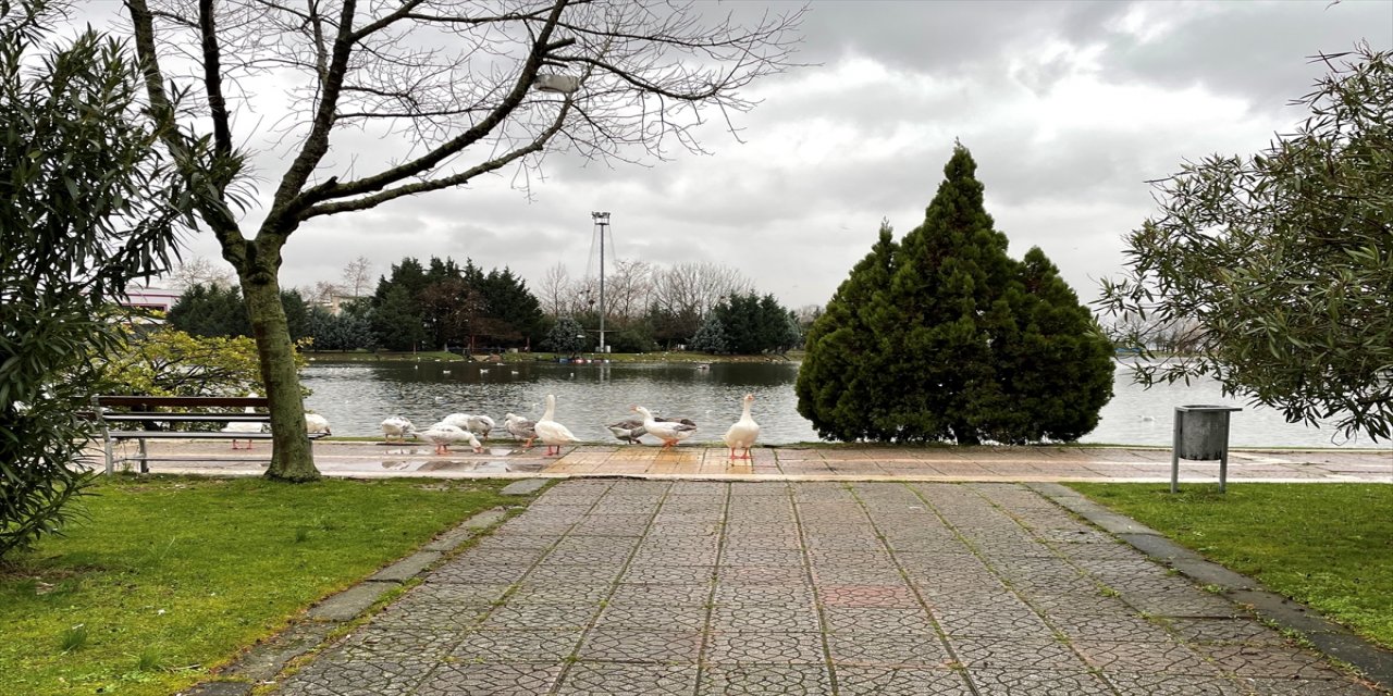 Kocaeli'de fuar alanındaki gölette kış sessizliği