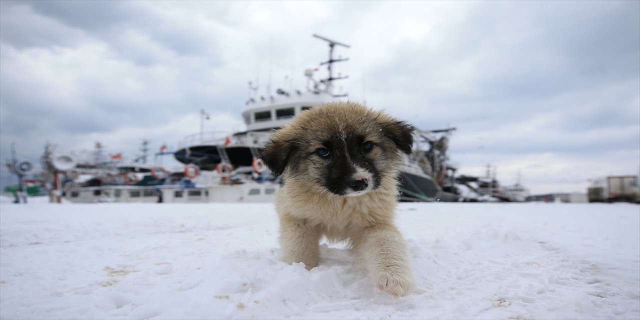 Hamsi bolluğunun yaşandığı İğneada'da balıkçılara hava muhalefeti engel oldu