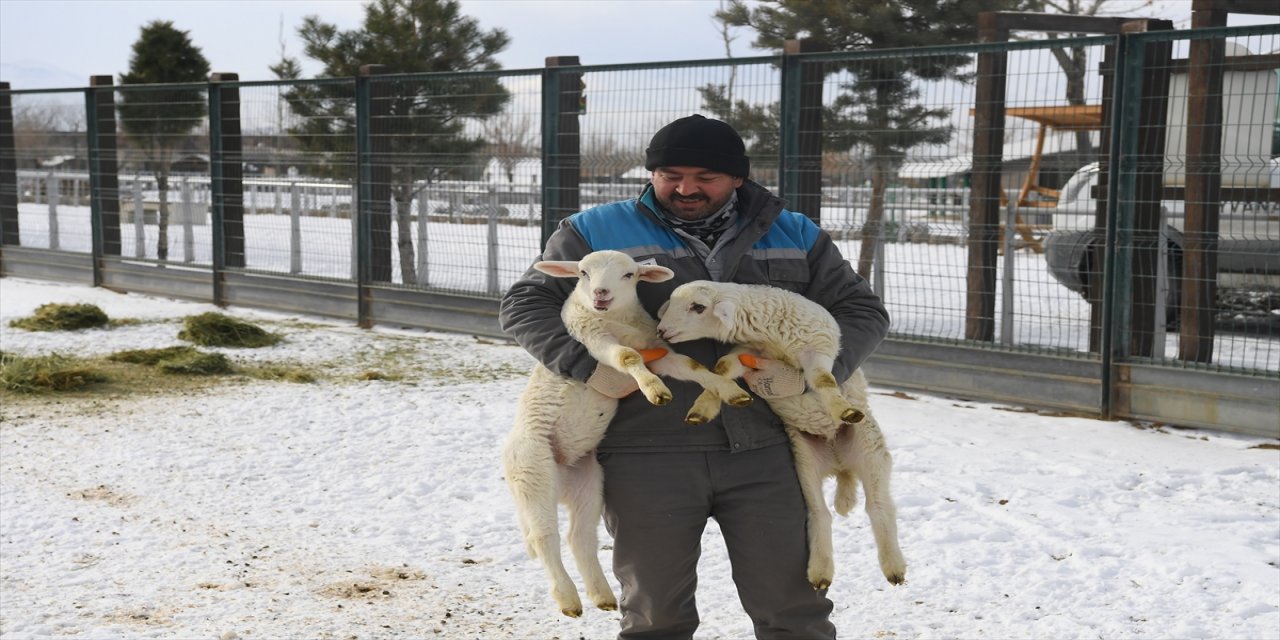 Kayseri'de hayvanat bahçesinin sakinlerine kış aylarına özel bakım yapılıyor
