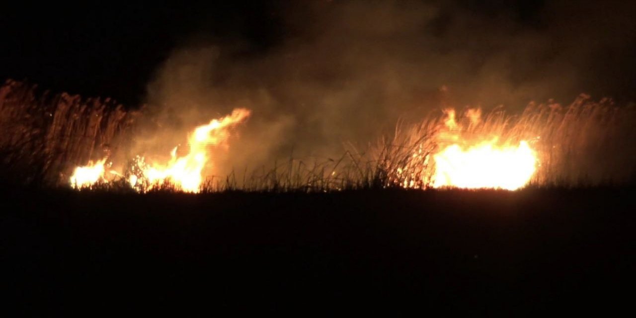 Bursa'da sazlık alanda çıkan yangın söndürüldü
