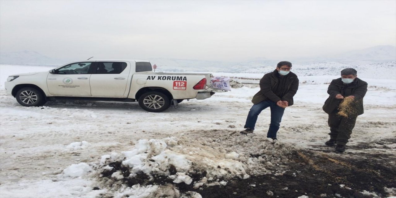 Kayseri'de sulak alanlardaki kuşlara yem bırakıldı
