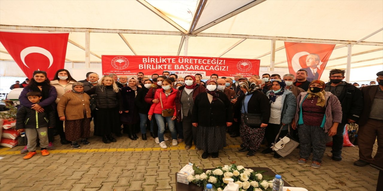 Muğla'da orman yangınlarının açtığı yaraların sarılmasına devam ediliyor