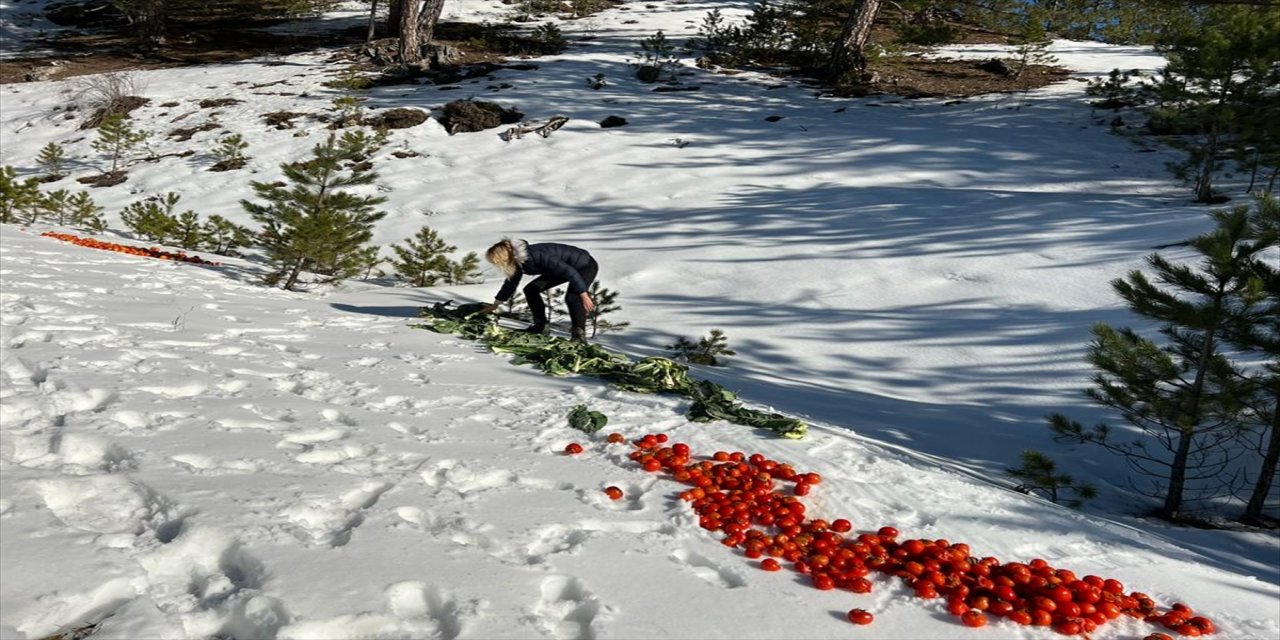 Fethiye'de yaban hayvanları için doğaya yem bırakıldı