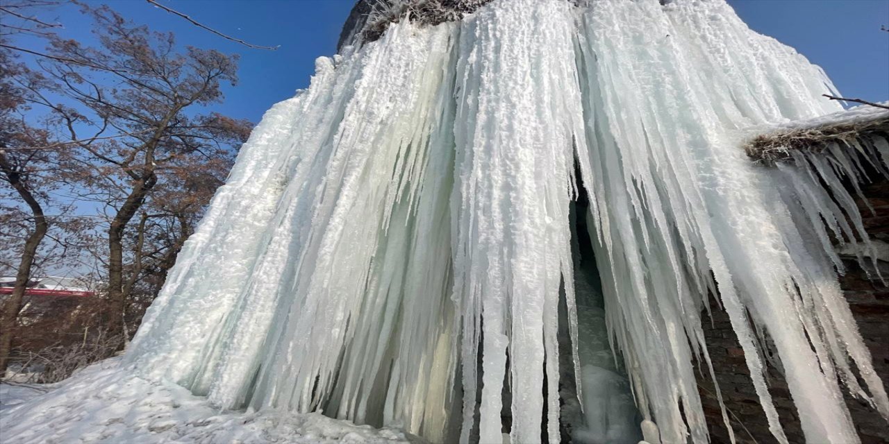 Ağrı ve Ardahan'da soğuk hava etkisini sürdürüyor