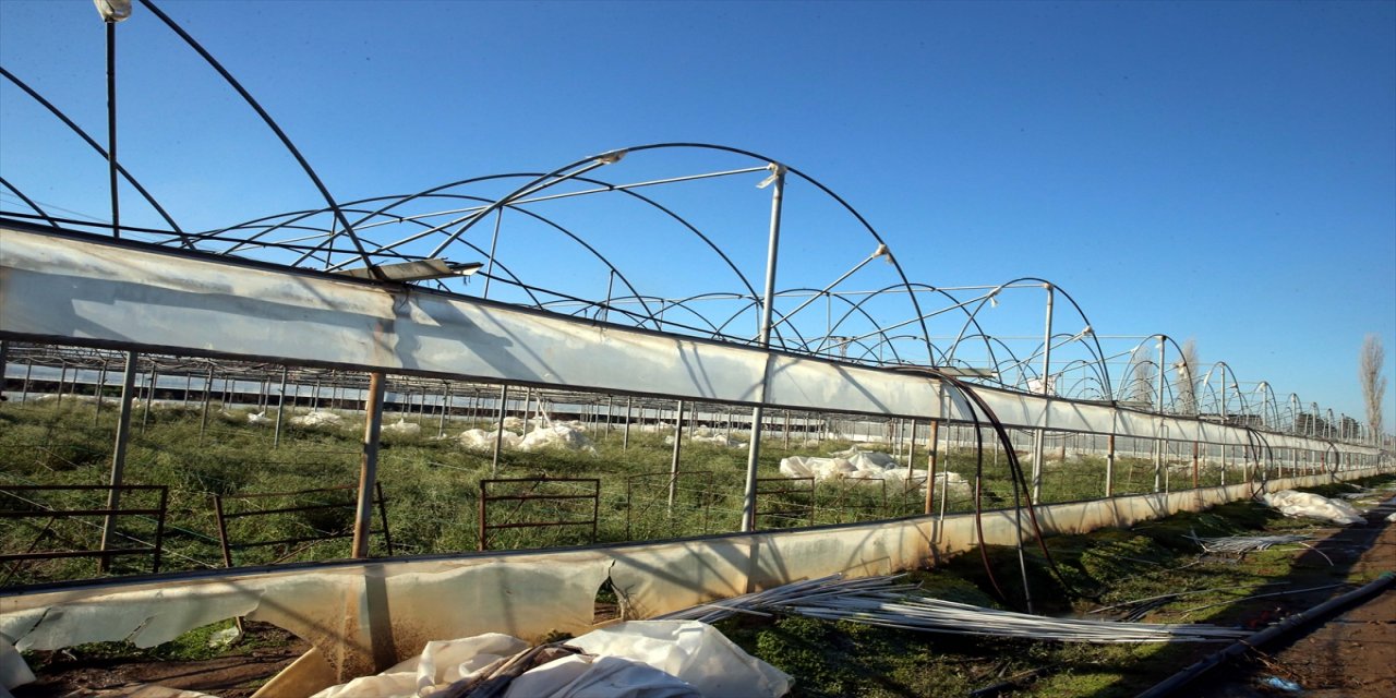 Tokat'ta kar çiçek seralarının yıkılmasına neden oldu