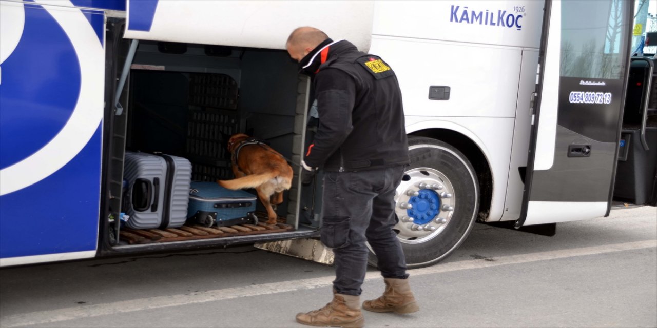 Muş'ta dedektör köpekler uyuşturucuyla mücadelede polise destek veriyor