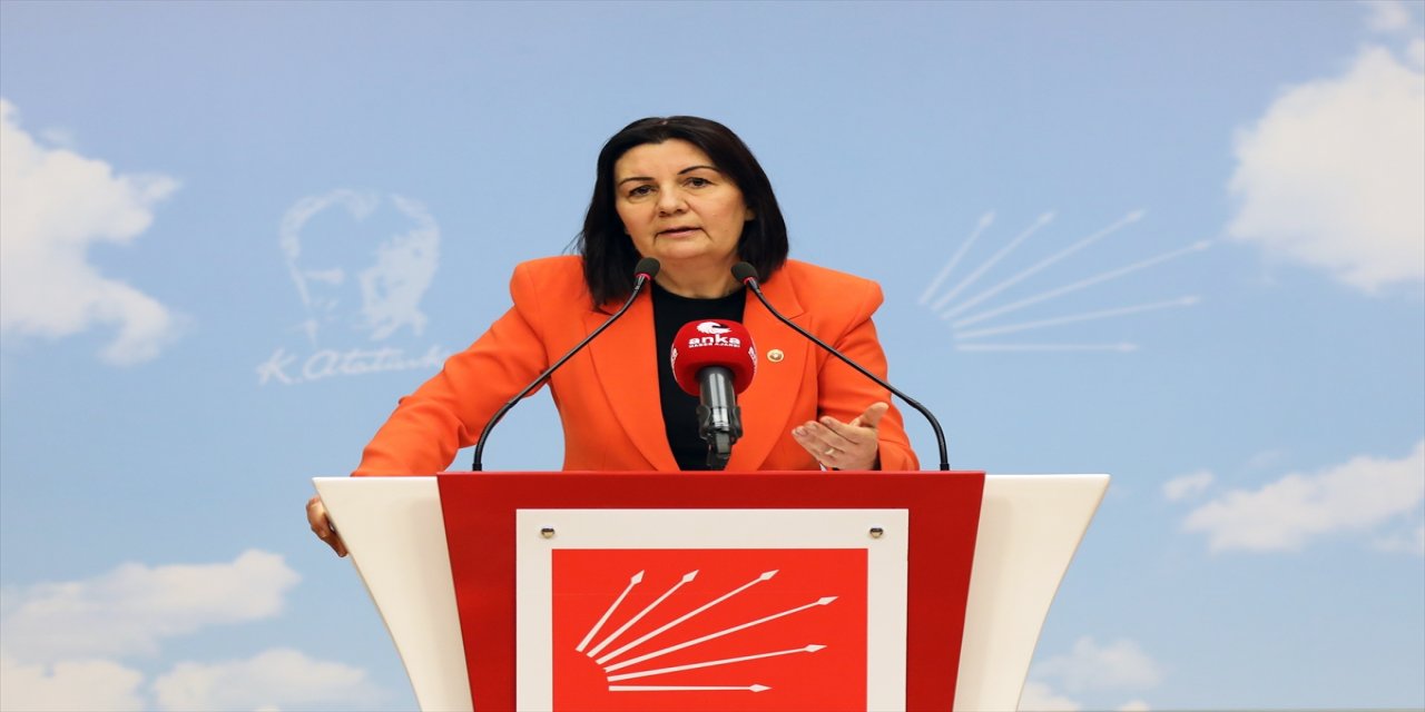 CHP Genel Başkan Yardımcısı Karabıyık'tan "yükseköğretim" değerlendirmesi: